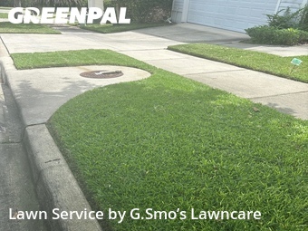 Yard Cutting nearby Gainesville, FL, 