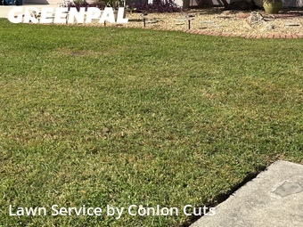 Lawn Mowing nearby Ellenton, FL, 