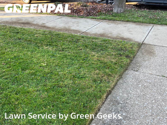 Lawn Cut nearby Euclid, OH, 