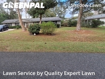 Lawn Cut nearby Gainesville, FL, 