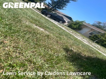 Grass Cutting nearby Deerfield Beach, FL, 