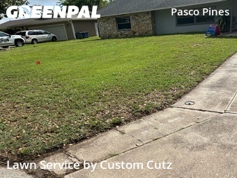 Yard Mowing nearby Holiday, FL, 