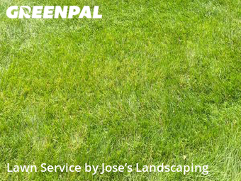 Lawn Maintenance nearby Fairfax, VA, 