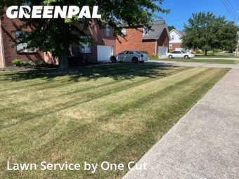 Yard Cutting nearby Smyrna, TN, 