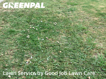 Lawn Care Service nearby Fort Worth, TX, 