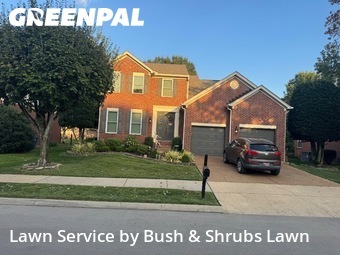 Lawn Carein Franklin,37064,Lawn Cut by Bush & Shrubs Lawn, work completed in Nov , 2025