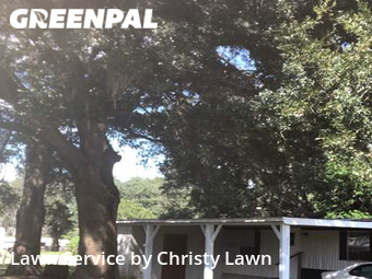 Lawn Mow nearby Ocala, FL, 