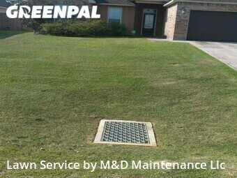 Yard Mowing nearby Denham Springs, LA, 