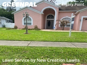 Lawn Mowing Service nearby Valrico, FL, 