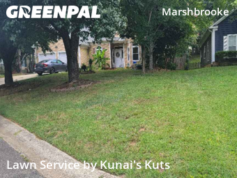 Lawn Cut nearby Matthews, NC, 