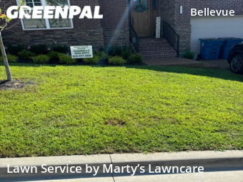 Yard Mowing nearby Nashville, TN, 