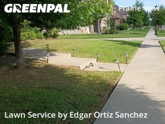 Modern Landscaping In Frisco,75035,Landscaping Cleanup by Edgar Ortiz Sanchez, work completed in Jun , 2026