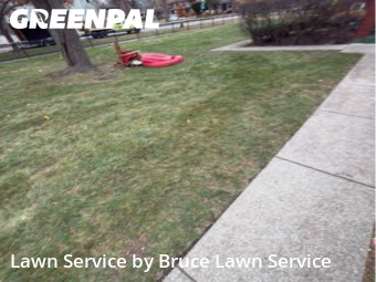 Yard Cutting nearby Oak Park, IL, 