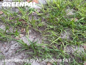 Lawn Care nearby Winter Haven, FL, 