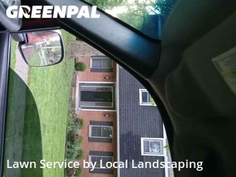 Yard Grooming in Findlay, 45840, Yard Care by Local Landscaping, work completed in Nov , 2025