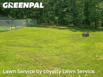 Lawn mowed in Harrison, 37341