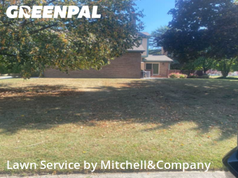 Lawn Maintenance in Farmington Hills, 48331, Yard Work by Mitchell&Company, work completed in Nov , 2025