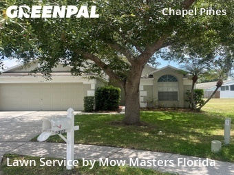 Grass Cut nearby Wesley Chapel, FL, 