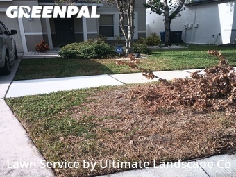 Lawn Service nearby Ruskin, FL, 