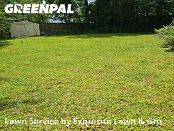 Yard Mowing nearby Falls Church, DC, 