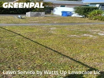 Lawn Cut nearby Opa Locka, FL, 