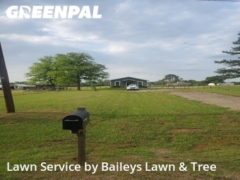 Lawn Service nearby Flint, TX, 