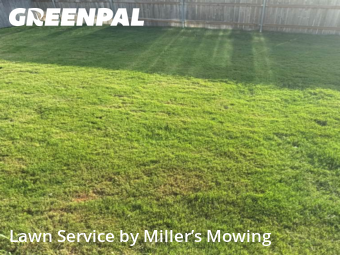 Lawn Care nearby Cedar Park, TX, 