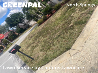 Modern Landscaping In Coral Springs,33076,Landscaping Renovation by Caidens Lawncare , work completed in Feb , 2026