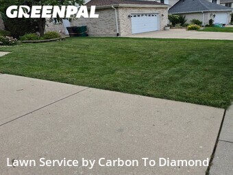 Lawn Mowing Servicein Orland Park,60467,Lawn Mowing by Carbon To Diamond , work completed in Jun , 2026