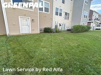 Lawn Mow nearby Waldorf, MD, 