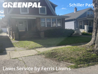 Yard Cutting nearby Buffalo, NY, 