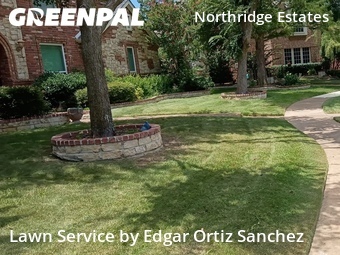 Lawn Mow nearby Plano, TX, 