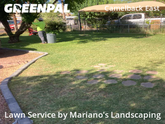 Yard Cutting nearby Phoenix, AZ, 