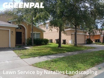 Lawn Cut nearby Davenport, FL, 