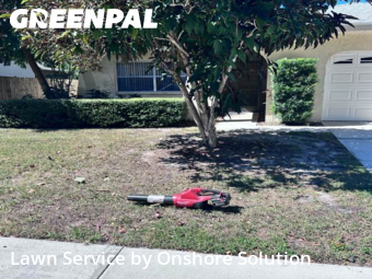 Lawn Cutting nearby Palm Harbor, FL, 