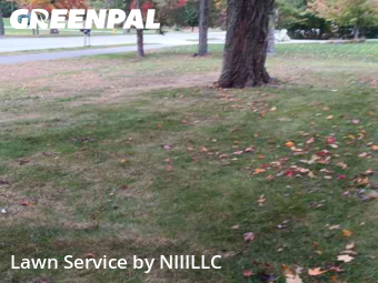 Lawn Upkeep in Norton Shores, 49441, Grass Care by NIIILLC, work completed in Nov , 2025
