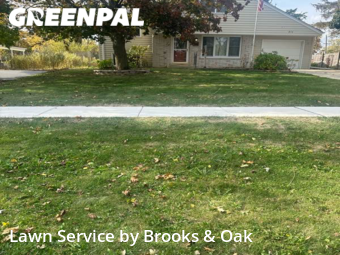 Lawn Care nearby Wheaton, IL, 