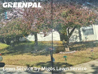 Yard Work in Decatur, 30035, Yard Care by Migos Lawn Service, work completed in Nov , 2025