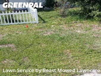 Lawn Care nearby Tampa, FL, 