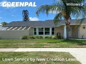 Lawn Carein Brandon,33594,Lawn Mowing Service by New Creation Lawns, work completed in Jun , 2026
