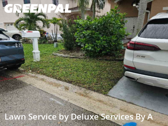 Grass Cutting in Coconut Creek, 33066, Lawn Services by Deluxe Services By A, work completed in Nov , 2025