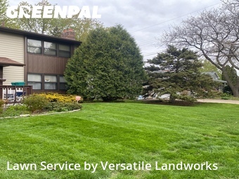 Lawn mowed in Woodbury, 55125
