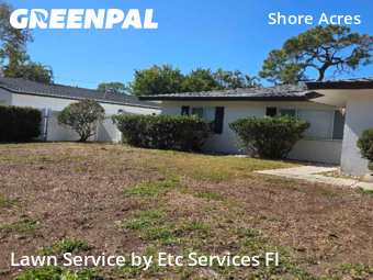 Lawn mowed in St. Petersburg, 33703