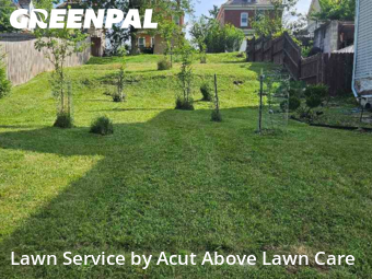 Weed Trimming in Ross Township, 15202, Lawn Work by Acut Above Lawn Care, work completed in Oct , 2025