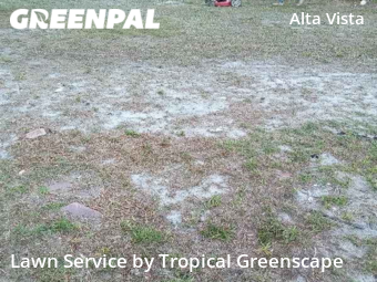 Lawn Mowing nearby Sarasota, FL, 