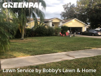 Lawn Cut nearby Seffner, FL, 