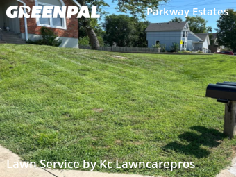 Grass Cutting nearby Olathe, KS, 