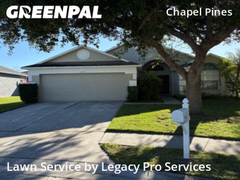Yard Cutting nearby Wesley Chapel, FL, 