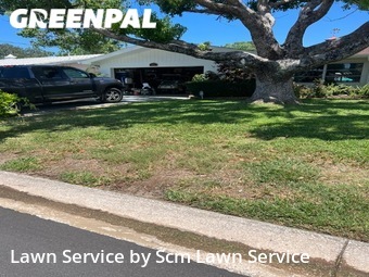 Grass Cut nearby Dunedin, FL, 