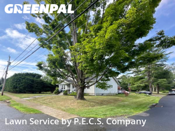 Yard Mowing nearby Berkeley Heights, NJ, 